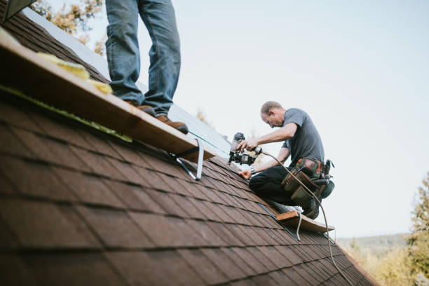 Best Roof Gutter Cleaning  in Morganton, NC
